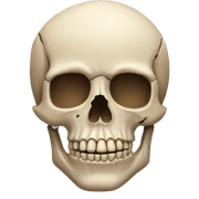 Skull  sticker