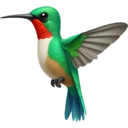 colibri sticker