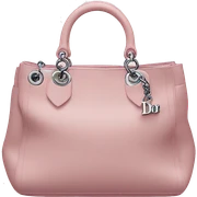 dior bag sticker