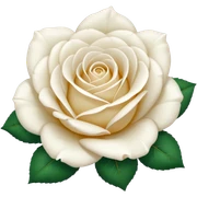 White rose sticker