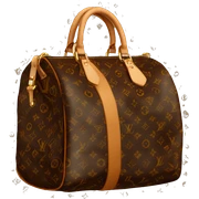 Louis Vuitton sticker