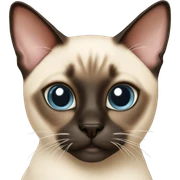 siamese cat sticker