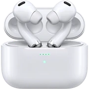 apple airpod max sticker