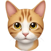 cat with cat sticker