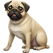 Pug sticker