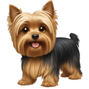 Yorkshire terrier  sticker