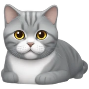 British shorthair hungry sticker