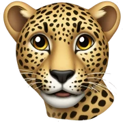 Leopard sticker