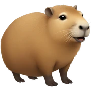 capybara sticker