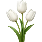 White tulips sticker