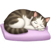 Cat sleep sticker