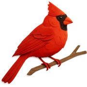 very detailed cardinal perched on a tree branch, intricate cut paper textures, vibrant red feathers sticker