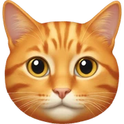 Orange cat sticker
