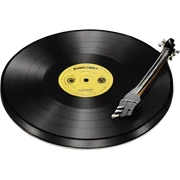 Vinyl record sticker