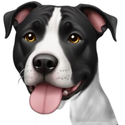 fully black amstaff sticker