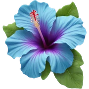 Blue hibiscus flower sticker