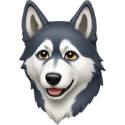 Husky with wolf colors  sticker