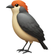 Bird sticker