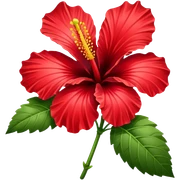 Hibiscus sticker