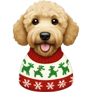 goldendoodle Christmas sweater sticker