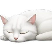 white cat sleeping  sticker