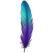 Feather sticker