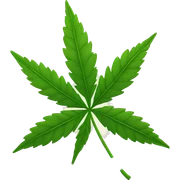 weed sticker