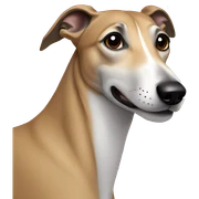 Greyhound sticker