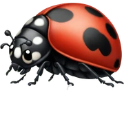 Ladybug sticker