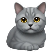 British shorthair grey sticker