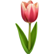 Tulip  sticker