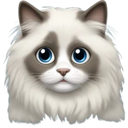 Ragdoll  sticker
