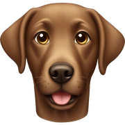  Brown labrador dog sticker