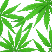 Weed sticker