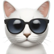 Cat with sunglasses sticker