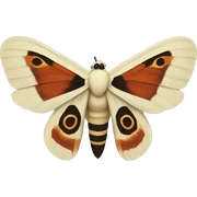 Promethia moth sticker