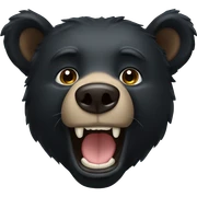 black bear sticker