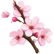Cherry Blossom  sticker