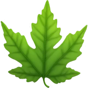 leaves  sticker