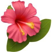 Flower gumamela sticker