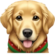 golden retriever wearing christmas sweater sticker