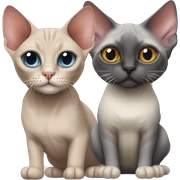 Sphynx cat and ragdoll cat  sticker
