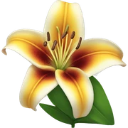 Lily  sticker