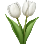 White tulips sticker