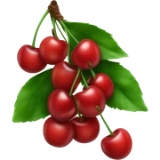 Cherry sticker