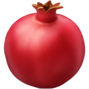 Pomegranate  sticker