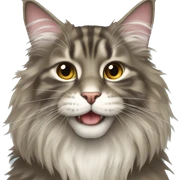 Maine coon sticker