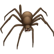 spider sticker