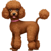 Brown poodle sticker