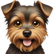 chorkie brown dog  sticker